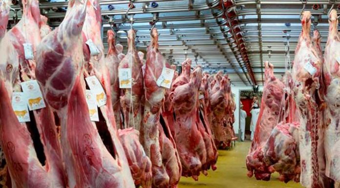 Benslimane et Khénifra : de nouveaux abattoirs en perspective !