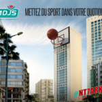 Basket-MDJS-300-250