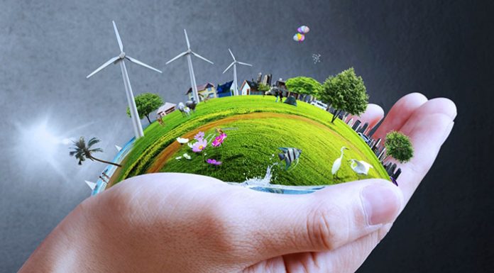 Développement durable : Un Comité stratégique voit le jour