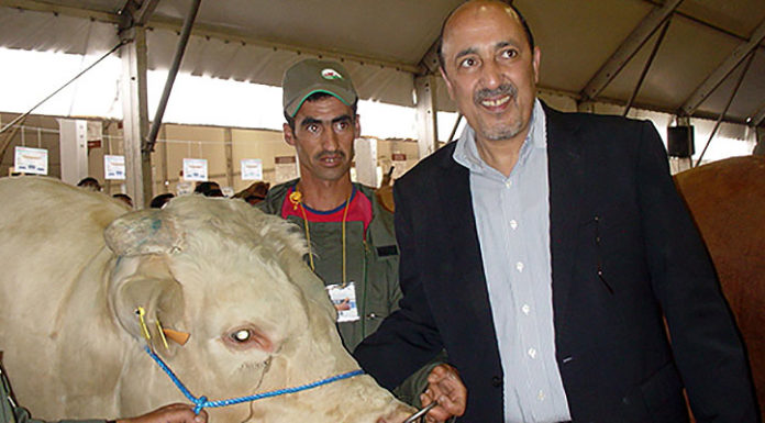 Entretien : M’Hammed Karimine, Président de la Fédération interprofessionnelle des viandes rouges (FIVIAR)