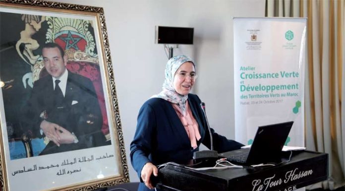 Maroc-Déchets collectés: Croissance et stratégie d’El Ouafi