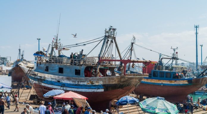 Police portuaire : Les professionnels de la pêche rejettent un projet de loi