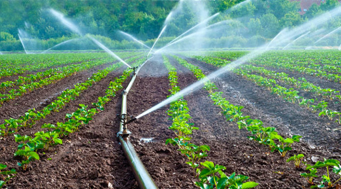 Irrigation: Les petits agriculteurs exonérés de la redevance