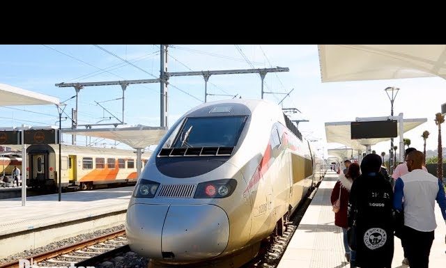 Alboraq: Bien plus qu’un train, un transport performant et social