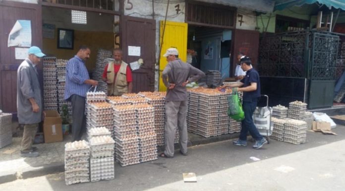 Marché aux œufs «Al-Biyada» de Casablanca : Pourquoi les grossistes tirent la sonnette d’alarme…