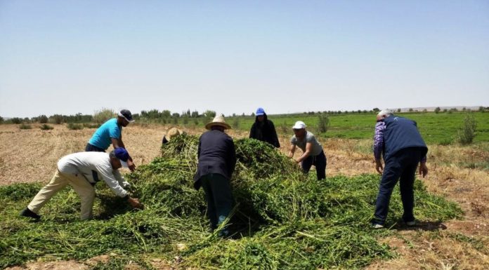 Pesticides : L’ONSSA durcit le ton