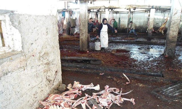 Mise à niveau des abattoirs : Les élus pointés du doigt !