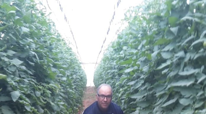 Confinement : Comment s’organisent les petits agriculteurs de Chtouka Aît Baha?
