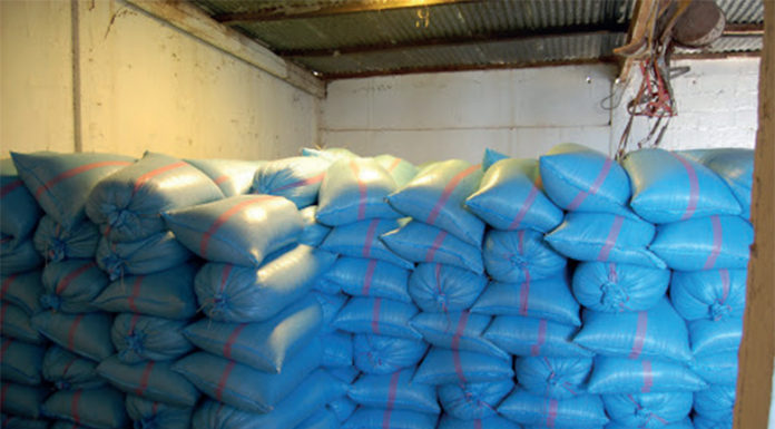 Meknès: Distribution de 9.041 quintaux d’orge subventionnée