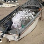 barque 1