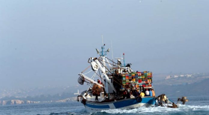 Pêche: Hausse des débarquements de 2% à fin février (ONP)