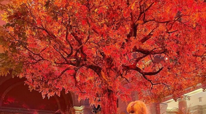 USA: New York retrouve son grand défilé de stars mondiales, le « Met Gala »