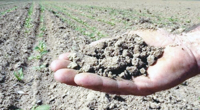 Campagne agricole : L’inquiétude s’installe chez les agriculteurs !