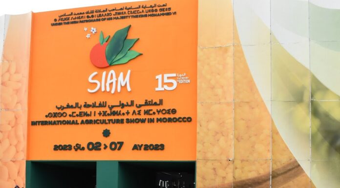 SIAM 2023: La 15ème édition a-t-elle tenu ses promesses ?