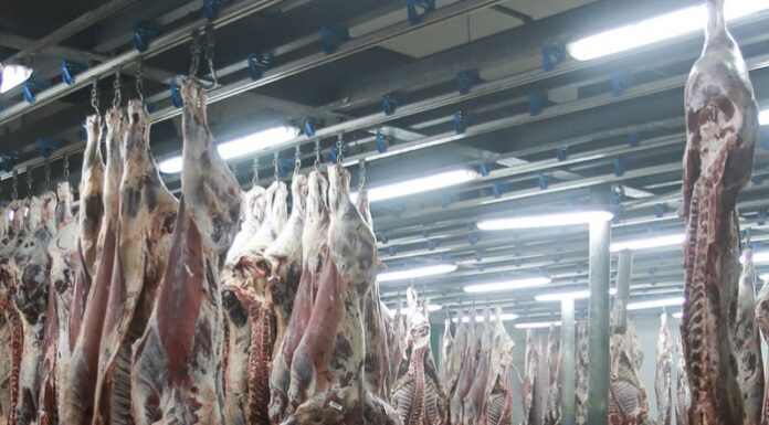 Boycott des viandes rouges : Le SG de l’Association nationale des chevillards réagit…