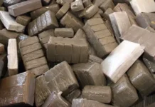 Espagne: Démantèlement de deux réseaux de de trafic de hachich avec la collaboration de la DGSN