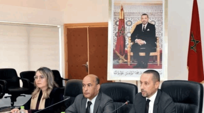 Santé publique : La plateforme nationale du Système de surveillance des décès maternels officiellement lancée